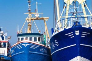Rastreo de la industria pesquera: cadena de suministro bajo lupa