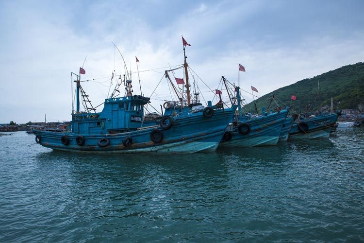 Prohibición de pesca en China incrementa el precio del pescado