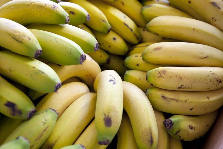 Banano canario pierde espacio en el mercado nacional