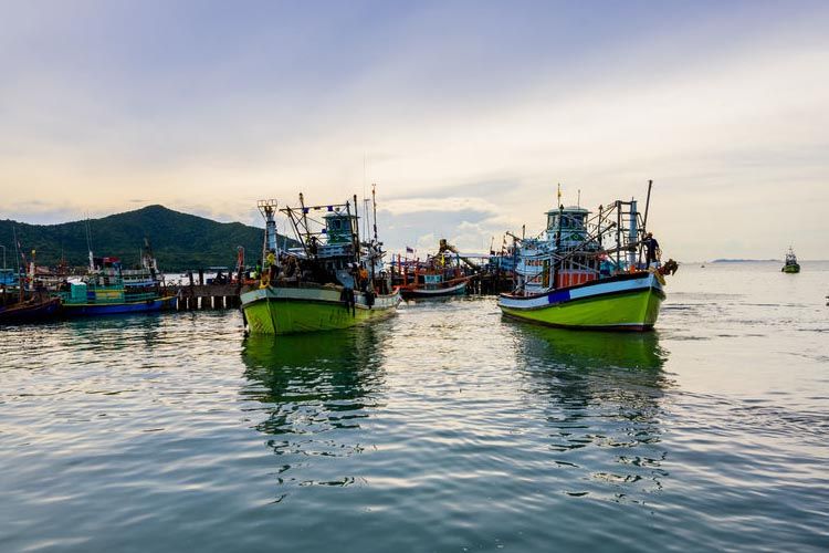 Seguridad de la pesca en Ecuador: creación de rutas marítimas seguras