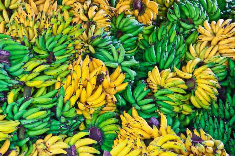 Los italianos quieren comer más banano ecuatoriano