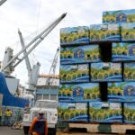 Las exportaciones de banano ecuatorianas 2018